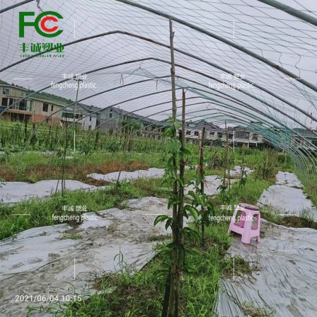 HDPE polyethylene plastic chicken net, duck net, climbing vine net, vegetable garden fence, orchard net, guardrail net