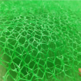 NSS plastic three-dimensional geotextile mesh mountain restoration green mesh slope protection EM2-EM5