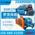 DSR125 Roots blower for sewage treatment, aeration, pneumatic powder conveying