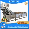 Saint Mary Fruit Tomato Cleaning and Air Drying Assembly Line Mint Leaf Automatic Water Replenishing Ultrasonic Cleaning Machine Huixin