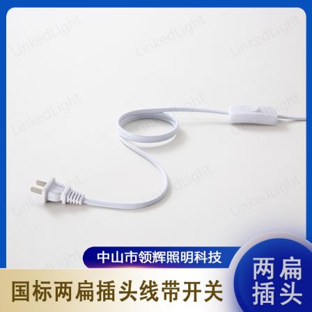 National standard two flat plug wire with switch LCS.01.303 High temperature resistance and durability