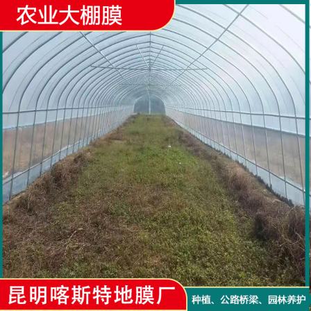 Customized production of greenhouse film agricultural film with sufficient inventory and adjustable length for garden maintenance film