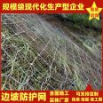 Active slope protection net, galvanized steel wire rope, dedicated for landslide control and rockfall prevention