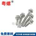 Supply of hexagonal flange drilling screws, hexagonal dovetail self tapping and self drilling screws