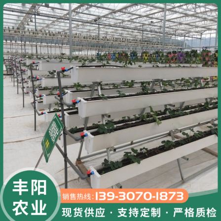 Fengyang Strawberry Stereo Planting Tank Indoor Substrate Planting Tank A-Frame Cultivation Tank Anti aging