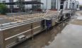 Supplier of a complete set of equipment for the processing of celery, beans, lettuce, and okra on the Jiabrand root and stem clean vegetable processing assembly line