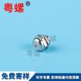 Stainless steel shoulder plug and high screw, stainless steel step plug and screw