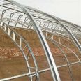 The installation design of a new type of greenhouse greenhouse with a few steel frames, material Q345C, has a long service life