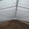 Single arch, single film, double arch, double film vegetable seedling cultivation greenhouse, spring and autumn single arch greenhouse