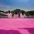 Scenic Area Landscaping Colored Sand Pink Beach Net Red Man Made Beach Sand Dyeing and Sintering