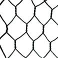 Wholesale and supply manufacturer of portable installation of plastic welded gabion mesh for flood control walls and embankments