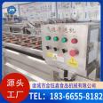 Manufacturer of customized coriander bubble cleaning machine and fennel cleaning assembly line