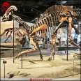 Simulating the skeleton fossils of paractylosaurus, 5m ancient biological skeleton, science popularization model, customized museum, beauty display factory