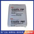 DuPont PBT Cristin FG613 Low Visibility Food Grade Casting Coating Grade