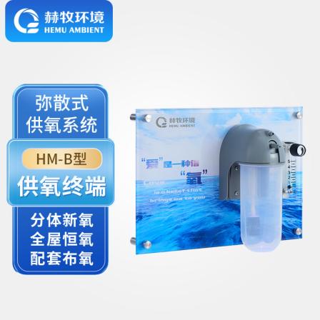 HEMU wall oxygen outlet HM-B type aerobic terminal oxygen generator dispersion type commercial manufacturer for Hemu Environment shipment