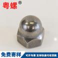 Cover nut decorative nut DIN1587 hexagonal dome nut M4 M5