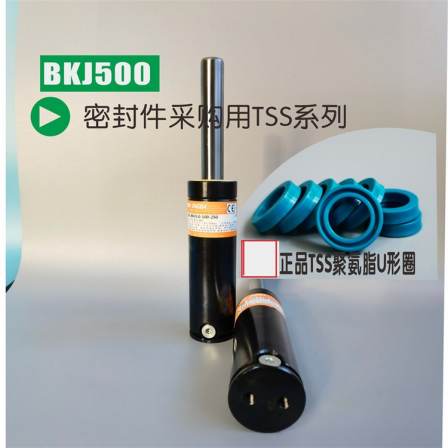 DNR750-10/TSP0750x010 replaceable BKC7.5-010-052 nitrogen cylinder spring