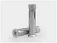 Flat head built-in expansion bolt stainless steel 304 316 carbon steel alloy steel non-standard customization