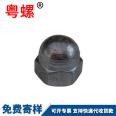 Cover nut decorative nut DIN1587 hexagonal dome nut M4 M5