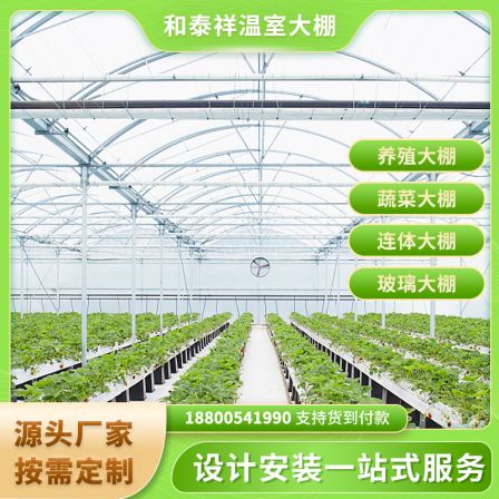 Single arch, single film, double arch, double film vegetable seedling cultivation greenhouse, spring and autumn single arch greenhouse