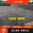 Aerial Direct Supply Pig Farm Biogas Tank Black Film Artificial Lake Reservoir Special Anti seepage Membrane HDPE Geomembrane 1.0mm