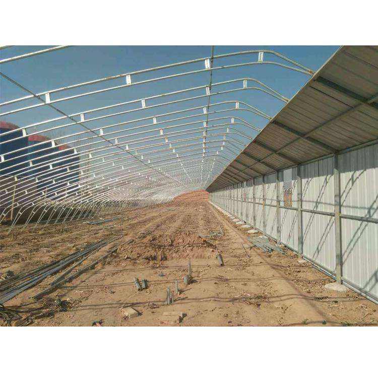 Factory orders and processes Tongfeng Jianye vegetable greenhouse skeleton, flower single temperature room skeleton