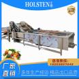 Saint Mary Fruit Tomato Cleaning and Air Drying Assembly Line Mint Leaf Automatic Water Replenishing Ultrasonic Cleaning Machine Huixin