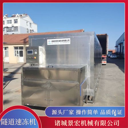 Large Seafood Tunnel Type Quick Frozen Machine Stainless Steel Aquatic Product Quick Frozen Equipment Jingyang Machinery