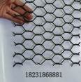 PET hexagonal mesh, polyester gabion mesh, PVC/PE coated gabion mesh for seawater aquaculture, corrosion resistance