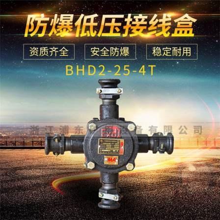 Pudong mine explosion-proof junction box price BHD2-25/2.3.4T