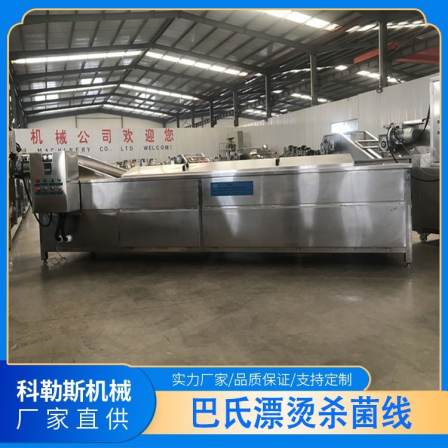 Continuous blanching line Corus LPT4000 steam heating Pickled vegetables pasteurizer