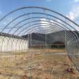 Factory orders and processes Tongfeng Jianye vegetable greenhouse skeleton, flower single temperature room skeleton