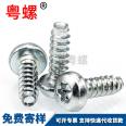 Wholesale pan head internal Torx screw flat tail Self-tapping screw galvanized flower shaped P head round head M2.5 M3 M4 M5