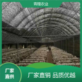 Qingcheng Agriculture Sunlight Sunshade and Insulation Greenhouse Mushroom Canopy Single Reflected Modern Planting Shed