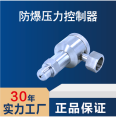 Mining explosion-proof pressure transmitter sensor micro 4-20mA output manufacturer