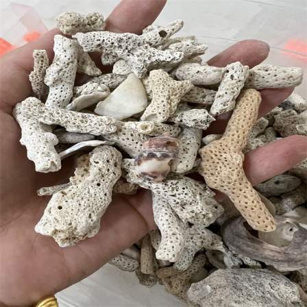 Quick delivery of coral stone filter coral sand coral bone fish tank bottom sand for seafood farming