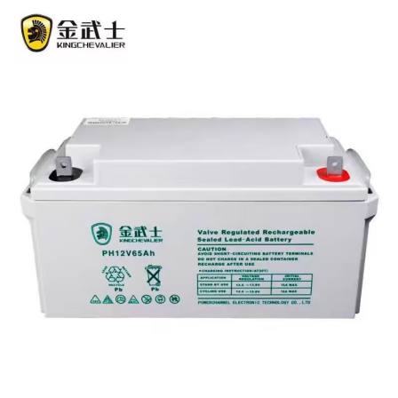 Golden Warrior Battery PW65-12-YA 12V65Ah DC Screen Maintenance Free Valve Controlled UPS Backup Energy Storage