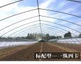 Construction of Plastic Film Single Building Edible Mushroom Greenhouse Greenhouse Planting Arch Dome Steel Frame Steel Pipe Plastic Greenhouse