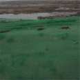 Sand and stone material covering net, dustproof green net, cheap green net