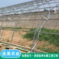 Edible mushroom planting greenhouse with C-shaped steel frame, double beam and double membrane design, strong resistance to wind and snow, stable and durable