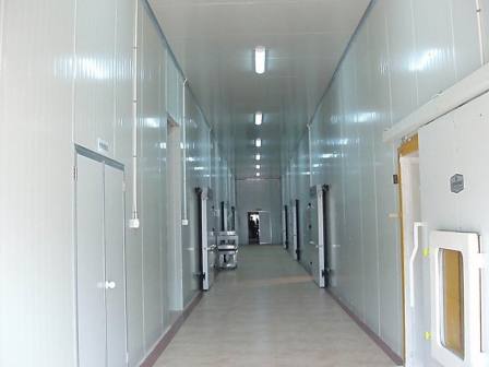 Haoshuang Refrigeration Installation 8000 cubic meters Fresh Storage Cost Food Cold Storage Cost