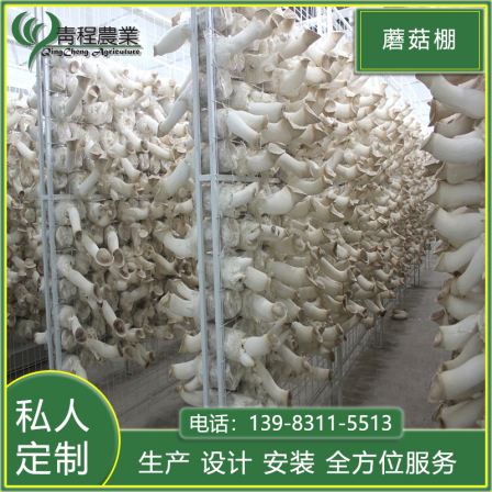 Qingcheng Agricultural Sunlight Mushroom Planting Steel Frame Black and White Film Mushroom Shed Construction, Stable Aftersales Maintenance Performance