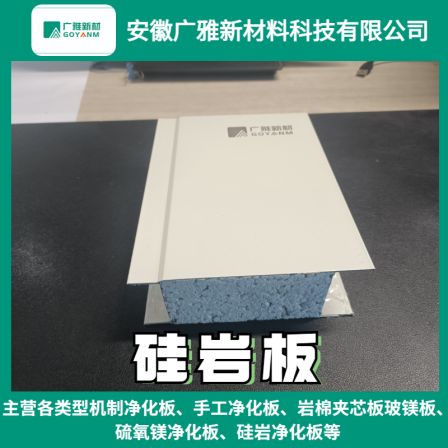 Guangya New Material Silicone Plate Silicone Purification Plate Purification Workshop Dedicated Support Customization