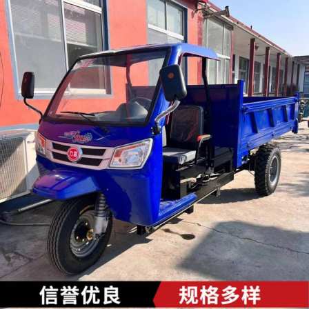 Chuangyuan Electric Start Dump Tricycle Style Supports Customized Thickened Carriage Flat Bucket Diesel Dump Truck