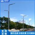 LED double arm street lamp, 8m, 9m, 10m, 12m, road, electricity, outdoor lighting, high and low arm double head road lamp pole