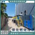 Spot catalytic combustion waste gas treatment complete equipment RCO activated carbon adsorption desorption catalytic combustion equipment