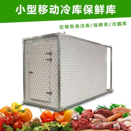220V Household Electric Small Mobile Cold Storage Vegetable and Fruit Preservation Warehouse Seafood and Meat Quick Frozen Warehouse Manufacturer
