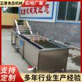 Zhengkang Vegetable and Fruit Cleaning Machine Special Bubble Cleaning Equipment for Fruit and Vegetable Processing Factory, Non damaging Skin Vegetable Washing Machine