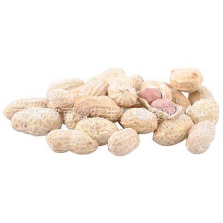 Long term supply of fragrant peanut fruit drying equipment, hanging furnace peanut production line, braised peanut equipment