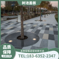 Airiman Customized Oval Stainless Steel Tree Grate Customized Delivery Home Greening Project